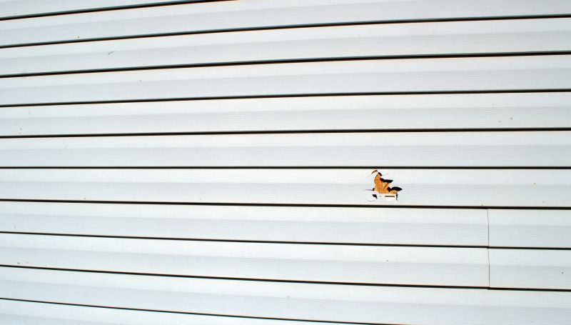 Repairing damaged siding